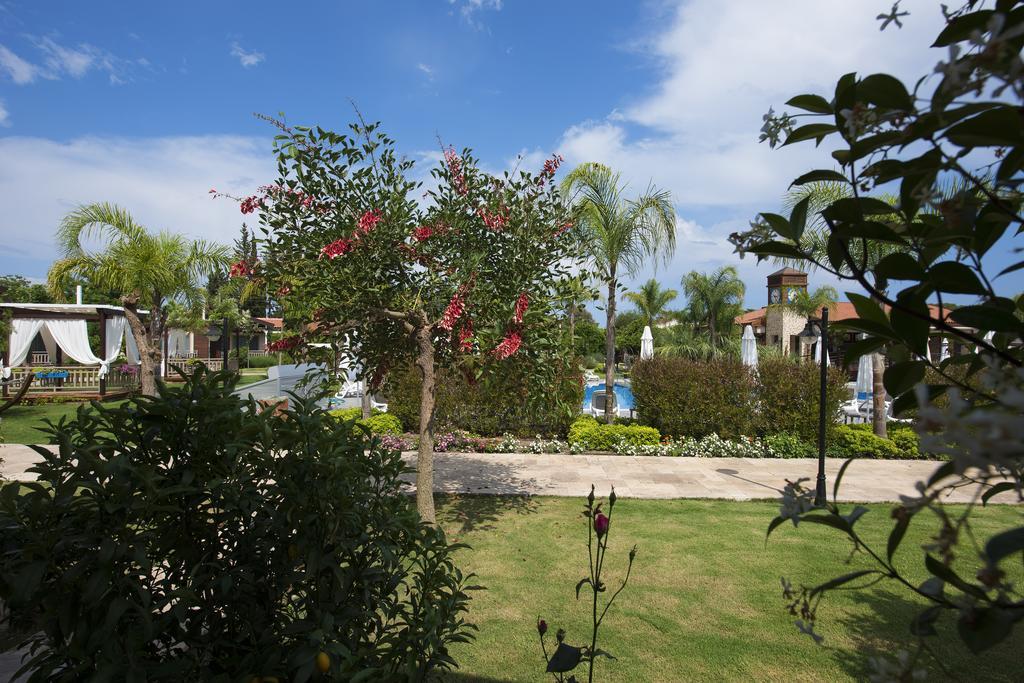 Kimera Lounge Boutique Hotel & Spa Cirali Exterior photo